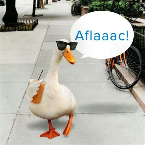 Aflac duck | Aflac duck, Aflac, Funny duck