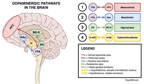 Introduction to Antipsychotics - PsychDB