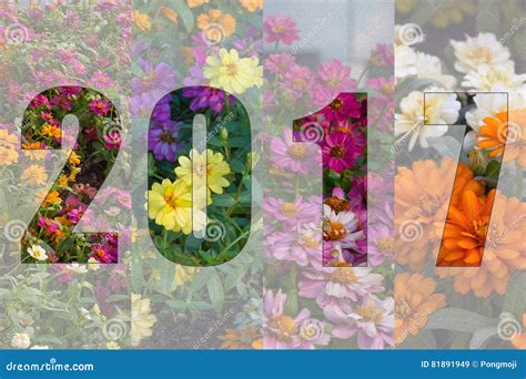 Happy New Year 2017 in Flower Theme Stock Image - Image of flora, calendar: 81891949