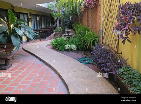 Thai garden with plants Stock Photo - Alamy