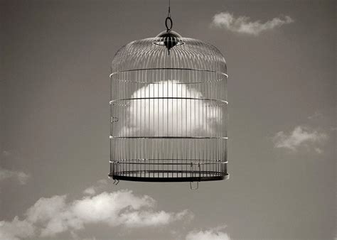 a f a s i a: Chema Madoz