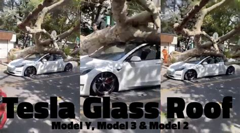 Tesla glass roof for Model Y, Model 3 and Model S