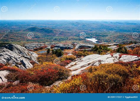 New Hampshire Forest and Bushes Seen from the Top of Mount Monadnock ...