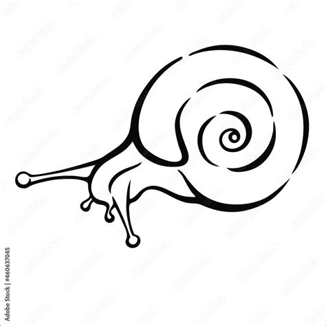 Vector black and white linear illustration of a snail Stock Vector ...