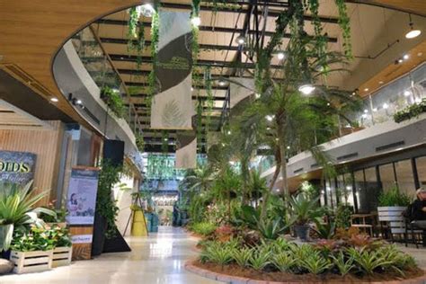 15+ plants in malls - RhiananDavyn