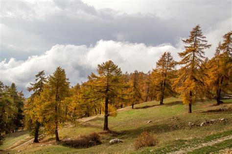 23 Ottobre 2022 - Valle d'Aosta, Val d'Ayas, Estoul | Flickr