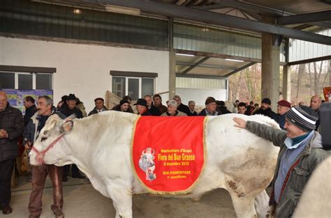 Fiera del Bue Grasso > Sagre & Fiere in Langa e Roero - Piemonte Eventi