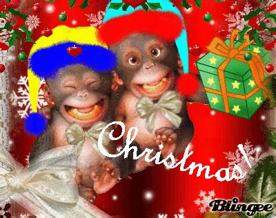 A+Monkey+Christmas | Christmas animals, Christmas, Winter christmas