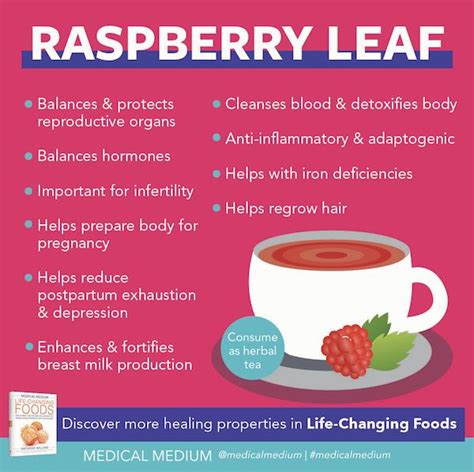 Raspberry Leaf - Life-Changing Herb in 2021 | Medical medium, Healing food, Medical herbs