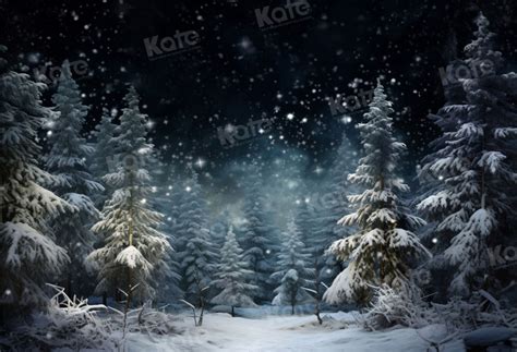 Kate Christmas Outdoor Snow Backdrop for Photography