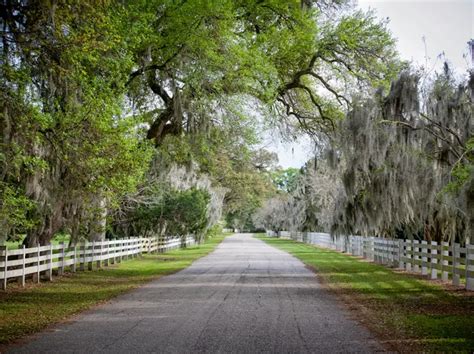 Enjoy The Drive - Scenic Drives at New River Gorge