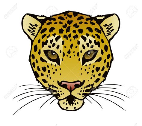 Cheetah clipart face, Cheetah face Transparent FREE for download on ...