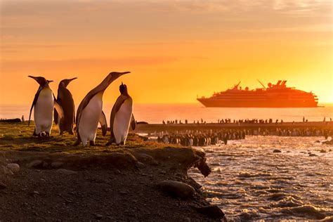 Antarctica to Everest: Adventurous anniversaries and expeditions around the world for 2023 - NZ ...