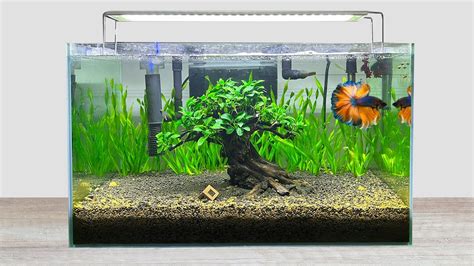 DIY Simple Aquasacpe Betta Fish For Office - How To Make Aquarium Decoration Ideas - MR DECOR ...