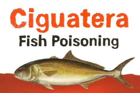 No New Reported Cases of Ciguatera Poisoning | Caribbean Press Releases