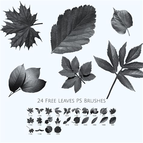 24 Free Leaves Photoshop Brushes - Photoshop brushes