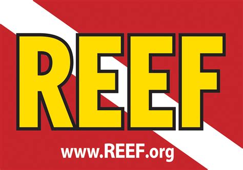 Reef Logos