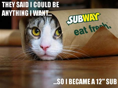 20 best images about Subway life on Pinterest | Jokes, Restaurant and Dog shaming