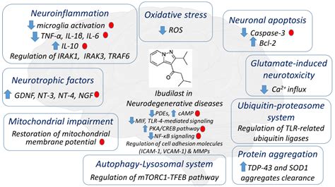 Molecules | Free Full-Text | Emerging Potential of the ...