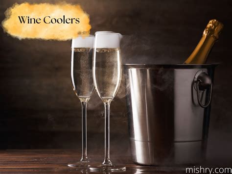 8 Best Wine Coolers & Fridges To Store Your Collection - Mishry (Dec 2024)