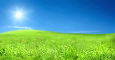 Green Landscape Over Sunny Sky Stock Photo - Download Image Now - iStock