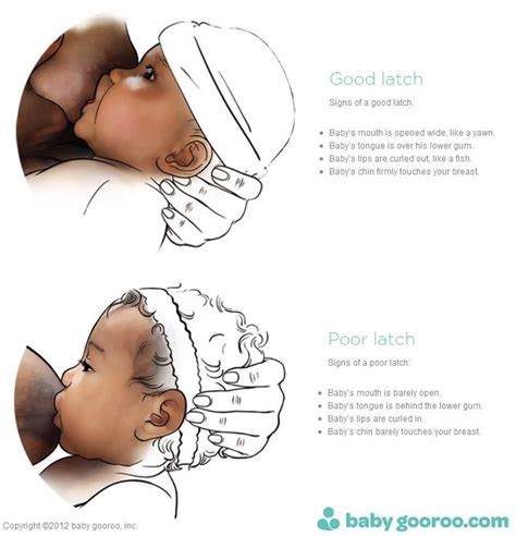 Breastfeeding Positions & Latch | Baby breastfeeding, Breastfeeding, Breastfeeding positions