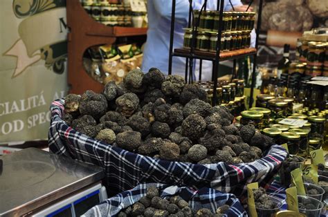 Truffles at the tartufi festival in Gubbio, Italy http://www ...