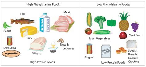 Foods to Avoid on a Phenylketonuria Diet | Med Log - Medlog.info