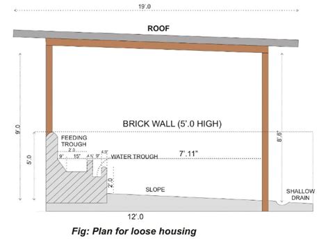 Cattle shed Design and construction information