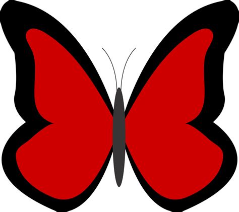 Butterfly Pic Clipart | Free download on ClipArtMag