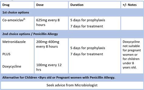 What Kind Of Antibiotics Are Used For Dog Bites