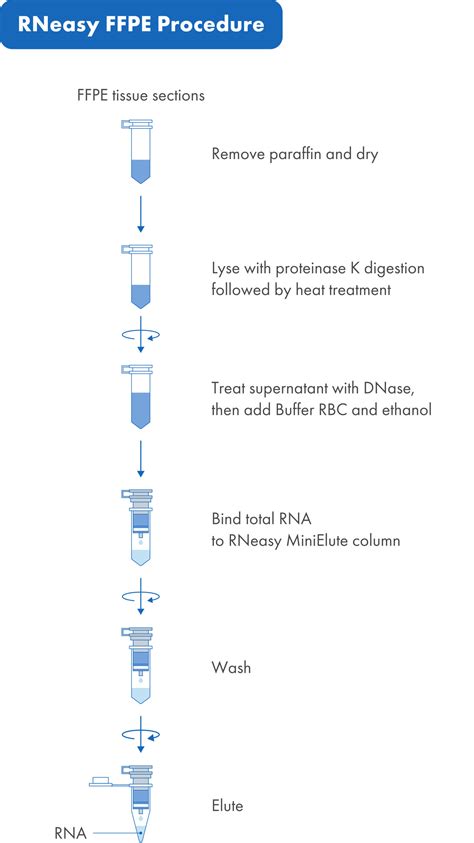 RNeasy FFPE Kit | FFPE Tissue RNA Extraction | QIAGEN