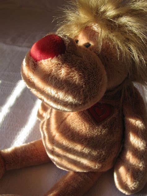 Teddy Lion Free Photo Download | FreeImages