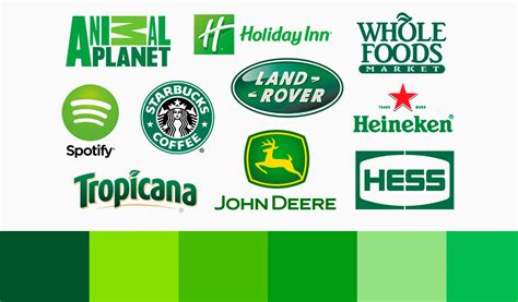 Green Logos: famous green logo examples and it's meaning | Turbologo