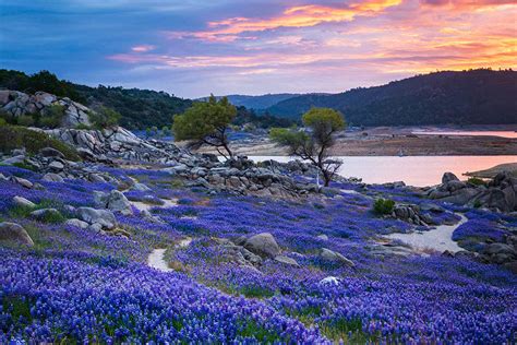 Folsom Lake - MyFolsom.com