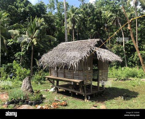 Bahay Kubo in the Coconut farm Stock Photo - Alamy