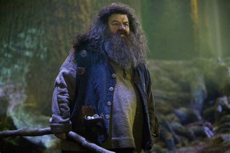 Hagrid - Rubeus Hagrid Photo (40663182) - Fanpop