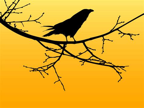 Vector Crow Vector Art & Graphics | freevector.com