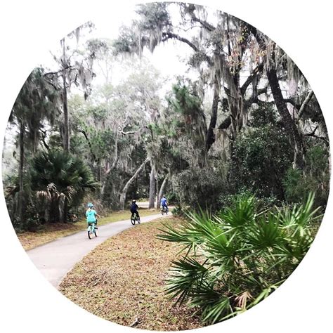 Bike Trails in Jekyll Island, Georgia | Georgia state parks, Visit georgia, State park camping