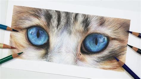 How To Draw Blue Cat Eyes with Coloured Pencil | Cat eyes drawing ...