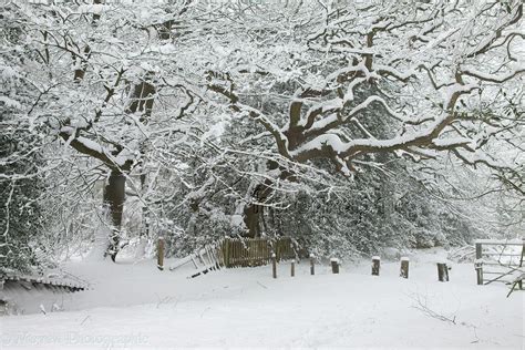 New England Winter Scenes Wallpaper - WallpaperSafari