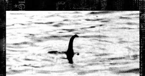 ¿Sabías que?: Fotógrafo del Monstruo del Lago Ness confezó en su lecho de muerte que Nessie era ...