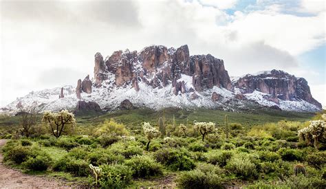 Desert snow Photograph by Lori Figueroa - Fine Art America