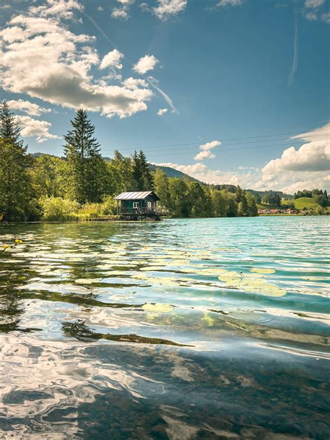 Cabin at Lake in Forest · Free Stock Photo