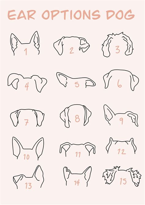 How To Draw Dog Ears Dog Ear Drawing Dog Ear Outline Drawing – NBKomputer