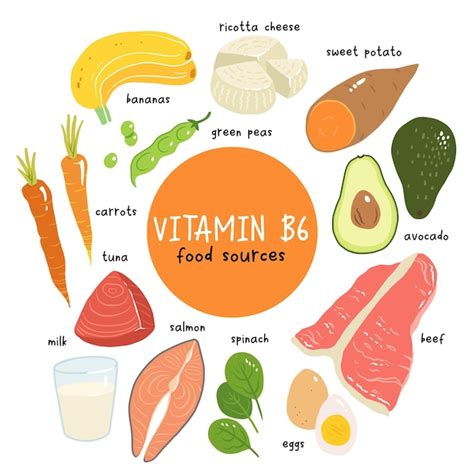 Premium Vector | Vitamin b6 vector stock illustration Food products with a high content of the ...