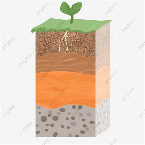 Plants Growing In The Soil Layer, Soil, Soil Layer, Growing PNG Transparent Clipart Image and ...