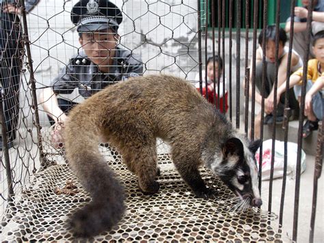 China Reopens Wet Markets Selling Wild Animals As Coronavirus Wanes In ...