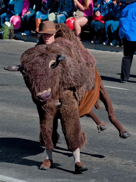 Buffalo Costume by GamutVision on DeviantArt