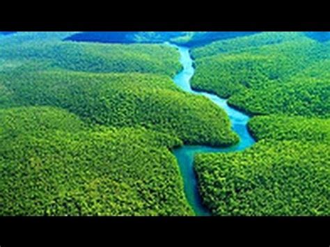 National geographic Amazon Forest BBC wildlife animal documentary - YouTube